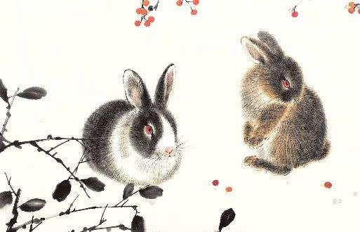 1987年兔五行属什么命:1987年兔年五行属木?揭秘生肖兔的命理特征与运势解析