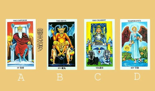 塔罗牌占卜在线测试题库:揭秘塔罗牌占卜在线测试题库,如何选择与构建高效题库?