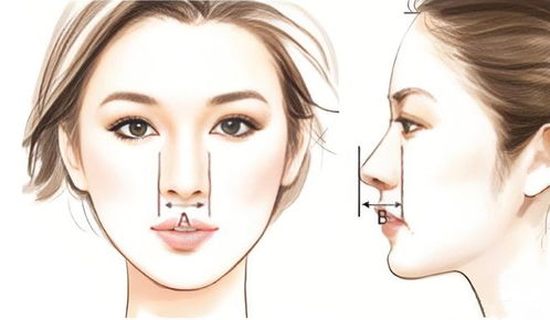 鼻翼:鼻翼探秘,从医学到美学的多维视角