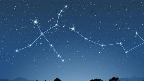 十二星座之首领:十二星座的首领基因,谁才是天生的领导者? 十二星座之首领:十二星座的首领基因,谁才是天生的领导者?