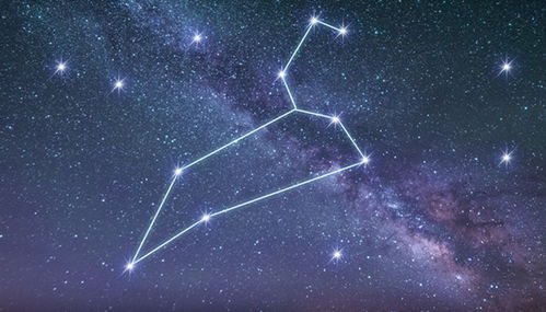 十二星座之首领:十二星座的首领基因,谁才是天生的领导者? 十二星座之首领:十二星座的首领基因,谁才是天生的领导者?