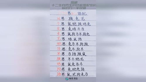十二生肖配对查询:十二生肖配对查询指南,科学解读与情感密码的终极对照手册 十二生肖配对查询:十二生肖配对查询指南,科学解读与情感密码的终极对照手册