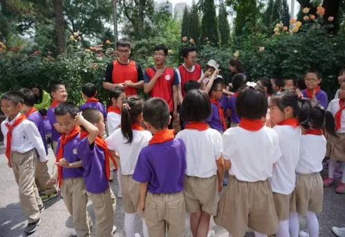 北京青年政治学院(北京青年政治学院是本科吗) 北京青年政治学院(北京青年政治学院是本科吗)