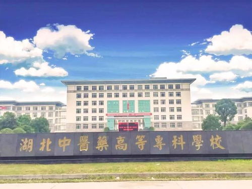 美术专科最好的大专(美术专科最好的大专公办) 美术专科最好的大专(美术专科最好的大专公办)