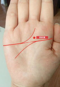 从手相看姻缘线准不准:揭秘手相中的姻缘线,准还是不准? 从手相看姻缘线准不准:揭秘手相中的姻缘线,准还是不准?