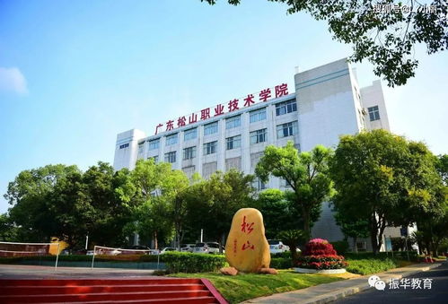 广东职业技术学校(广东职业技术学院官网) 广东职业技术学校(广东职业技术学院官网)