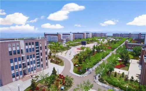 威海职业学院单招(威海职业学院单招难吗) 威海职业学院单招(威海职业学院单招难吗)