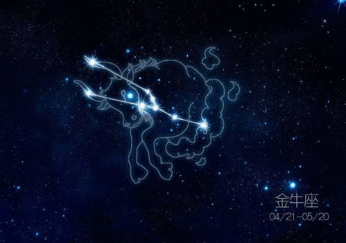 金牛女和什么星座最配:金牛女最佳星座伴侣,5大黄金组合解析,性格互补的婚姻密码 金牛女和什么星座最配:金牛女最佳星座伴侣,5大黄金组合解析,性格互补的婚姻密码