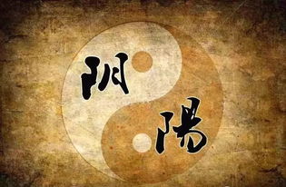 周易算运势:周易算运势,传统文化中的科学思维与人生指南 周易算运势:周易算运势,传统文化中的科学思维与人生指南