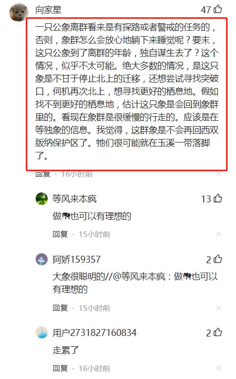 1月14日是什么情人节:1月14日竟是情人节?揭秘被忽略的小众浪漫日 1月14日是什么情人节:1月14日竟是情人节?揭秘被忽略的小众浪漫日