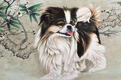 属猴人和属狗人姻缘如何:揭秘属猴人与属狗人姻缘,甜蜜与挑战并存 属猴人和属狗人姻缘如何:揭秘属猴人与属狗人姻缘,甜蜜与挑战并存