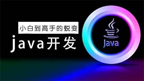 java免费资源网:Java学习者的宝藏,这些免费资源网站让你事半功倍 java免费资源网:Java学习者的宝藏,这些免费资源网站让你事半功倍
