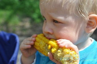 周公解梦梦见玉米:梦见玉米,丰收与隐秘的双重隐喻 周公解梦梦见玉米:梦见玉米,丰收与隐秘的双重隐喻