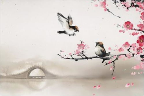 说虎和啥是上等姻缘:民间智慧说虎与上等姻缘,语言如何塑造婚姻幸福? 说虎和啥是上等姻缘:民间智慧说虎与上等姻缘,语言如何塑造婚姻幸福?