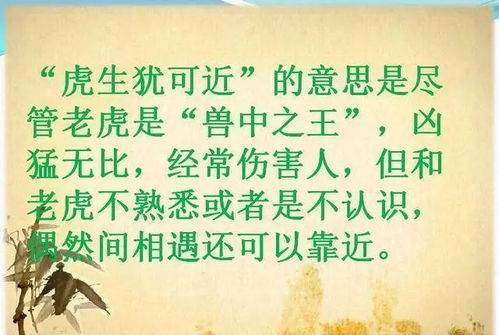 说虎和啥是上等姻缘:民间智慧说虎与上等姻缘,语言如何塑造婚姻幸福? 说虎和啥是上等姻缘:民间智慧说虎与上等姻缘,语言如何塑造婚姻幸福?