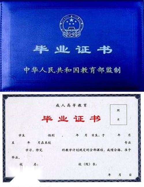 函授大专最快取证方法(函授大专最快取证方法是什么) 函授大专最快取证方法(函授大专最快取证方法是什么)