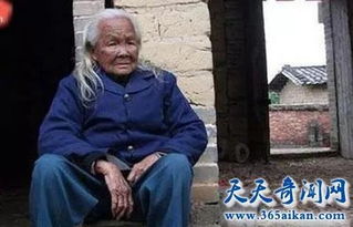 梦见奶奶死而复生:奶奶的归来,一场梦中的重逢 梦见奶奶死而复生:奶奶的归来,一场梦中的重逢