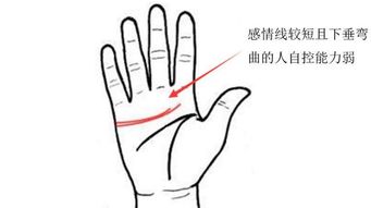 手相怎么看姻缘快到了:手相怎么看姻缘快到了?传统文化中的感情线解读