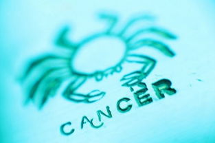 巨蟹座女生的性格特点:温柔与坚韧并存,解码巨蟹座女生的性格密码