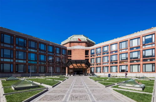 怎么加入姻缘护卫队群:加入姻缘护卫队群,开启你的脱单新篇章