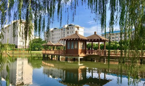 江苏考研最容易的大学(江苏考研最容易的大学是哪个)