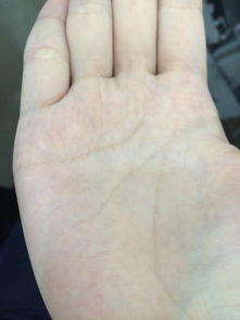 手相看姻缘好还是不好的:手相看姻缘,科学与玄学的有趣碰撞