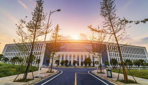 山东理工大学是一本吗(山东二本大学名单)