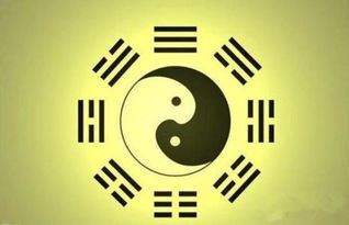 八字算命解析:八字算命解析,从生辰看人生运势与性格密码 八字算命解析:八字算命解析,从生辰看人生运势与性格密码