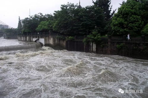 梦见发大水自己往高处跑:洪水与高地,一场关于内心挣扎的梦境解析 梦见发大水自己往高处跑:洪水与高地,一场关于内心挣扎的梦境解析