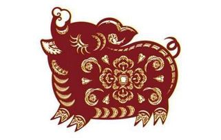 十二生肖每日运程完整版:十二生肖每日运程完整版,精准预测今日运势,助你把握吉时良机 十二生肖每日运程完整版:十二生肖每日运程完整版,精准预测今日运势,助你把握吉时良机