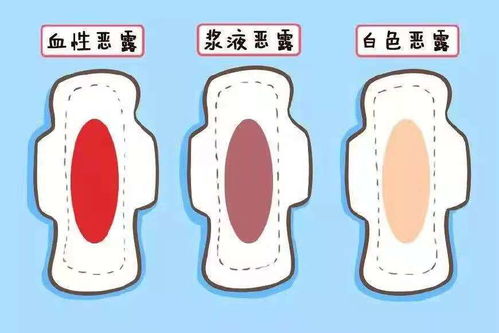 月经最危险三种颜色:月经颜色异常,这三种颜色可能是身体发出的危险信号! 月经最危险三种颜色:月经颜色异常,这三种颜色可能是身体发出的危险信号!