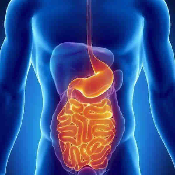 吃什么可以软化肝脏?吃什么可以软化肝脏?这些食物你一定要知道! 吃什么可以软化肝脏?吃什么可以软化肝脏?这些食物你一定要知道!