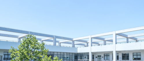 专科学校推荐(专科学校推荐公办) 专科学校推荐(专科学校推荐公办)