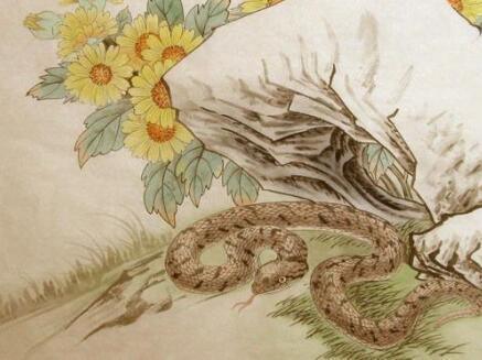 1977年属蛇人的后半生命运:1977年属蛇人后半生,命运转折点与人生新篇章 1977年属蛇人的后半生命运:1977年属蛇人后半生,命运转折点与人生新篇章