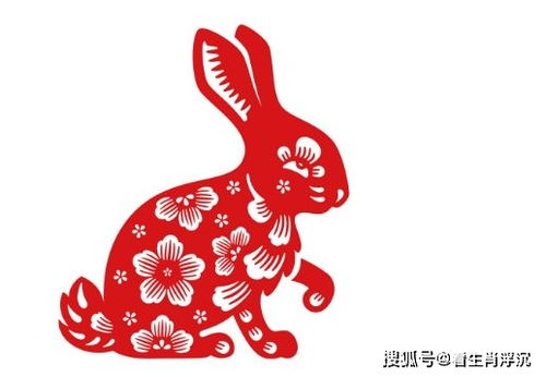 生肖兔一辈子的靠山是谁:生肖兔的命理之锚,一生中最重要的靠山是谁? 生肖兔一辈子的靠山是谁:生肖兔的命理之锚,一生中最重要的靠山是谁?