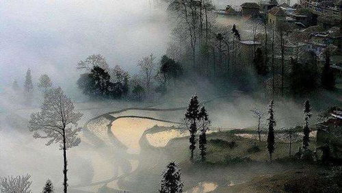 周公解梦连续梦见死人:连续梦见已故亲人?周公解梦与科学解析 周公解梦连续梦见死人:连续梦见已故亲人?周公解梦与科学解析