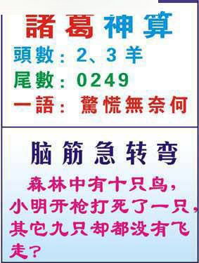 诸葛神算测字三藏算命:诸葛神算测字三藏算命,千年玄机中的智慧密码与文化传承 诸葛神算测字三藏算命:诸葛神算测字三藏算命,千年玄机中的智慧密码与文化传承