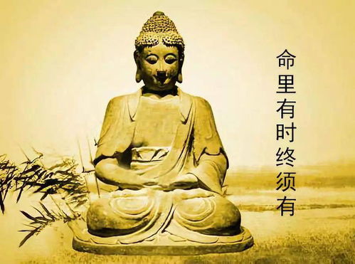 算一算你有几两几钱命:你的命理玄机,一盏灯、半碗米,八字算出几两几钱命 算一算你有几两几钱命:你的命理玄机,一盏灯、半碗米,八字算出几两几钱命