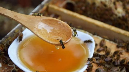 阴干吃什么补雌激素:阴干吃什么补雌激素?这5类食物或可自然调理 阴干吃什么补雌激素:阴干吃什么补雌激素?这5类食物或可自然调理