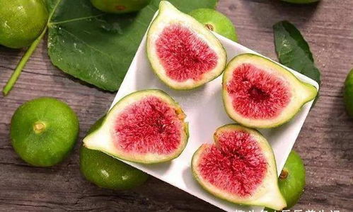 阴干吃什么补雌激素:阴干吃什么补雌激素?这5类食物或可自然调理 阴干吃什么补雌激素:阴干吃什么补雌激素?这5类食物或可自然调理