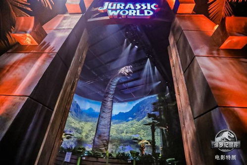 2025广东专插本政策(广东2021年专插本有什么改变) 2025广东专插本政策(广东2021年专插本有什么改变)