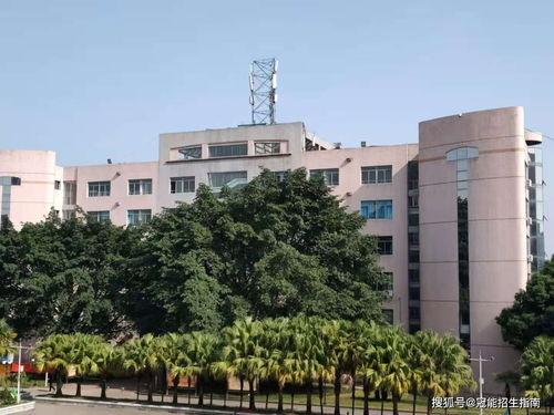 成都十大最烂职业学校(成都最好的职业学校有哪几所) 成都十大最烂职业学校(成都最好的职业学校有哪几所)