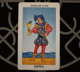 莎头哗哩哔哩塔罗牌分析:莎头的塔罗牌世界,B站上一场关于神秘体验的狂欢 莎头哗哩哔哩塔罗牌分析:莎头的塔罗牌世界,B站上一场关于神秘体验的狂欢