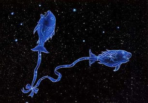 2月10日是什么星座:2月10日是什么星座?双鱼座性格解析与运势指南 2月10日是什么星座:2月10日是什么星座?双鱼座性格解析与运势指南