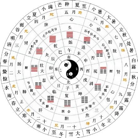 算五行八字:解析五行八字,传统命理智慧在现代生活中的应用 算五行八字:解析五行八字,传统命理智慧在现代生活中的应用