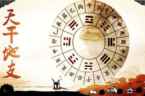 2021年是什么年五行属什么:2021天干地支与五行解析,辛丑金土年运势指南与生活建议 2021年是什么年五行属什么:2021天干地支与五行解析,辛丑金土年运势指南与生活建议