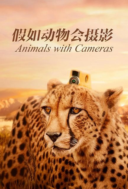 10月4号是什么日子:10月4日,世界动物日与人类与自然的和谐共生 10月4号是什么日子:10月4日,世界动物日与人类与自然的和谐共生