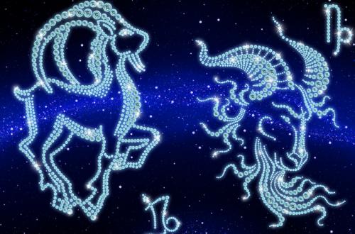 摩羯座男生在床上有多可怕:摩羯座男生在床上有多可怕?解锁高冷控系男生的危险魅力 摩羯座男生在床上有多可怕:摩羯座男生在床上有多可怕?解锁高冷控系男生的危险魅力