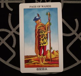 世界的塔罗牌是哪一张:世界的塔罗牌是哪一张?从愚者牌看宇宙的无限可能 世界的塔罗牌是哪一张:世界的塔罗牌是哪一张?从愚者牌看宇宙的无限可能