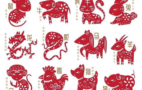 12生肖五行相生相克表:十二生肖与五行生克关系权威解析,如何利用五行平衡命理运势? 12生肖五行相生相克表:十二生肖与五行生克关系权威解析,如何利用五行平衡命理运势?